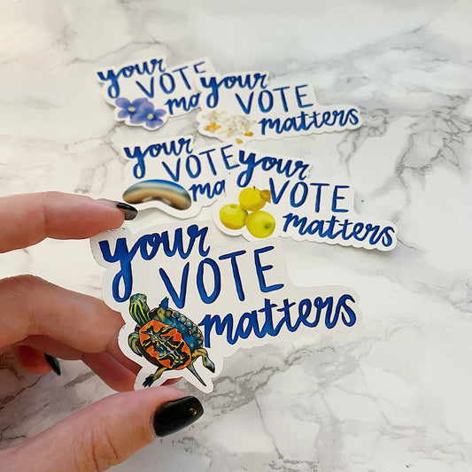 Your Vote Matters - Illinois