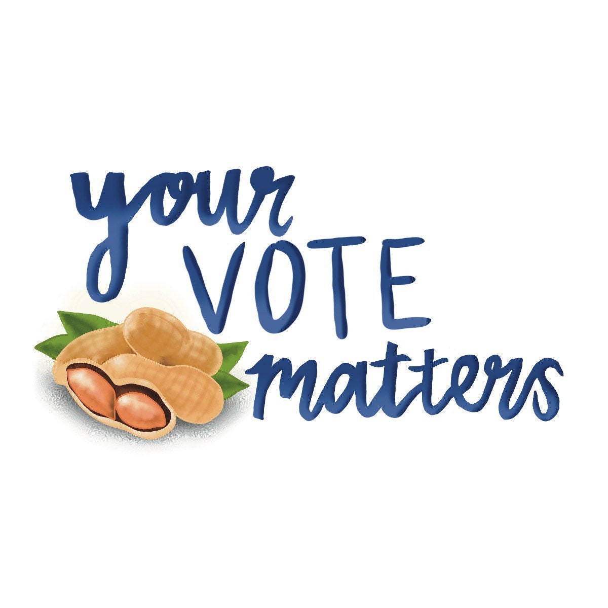 Your Vote Matters - Georgia