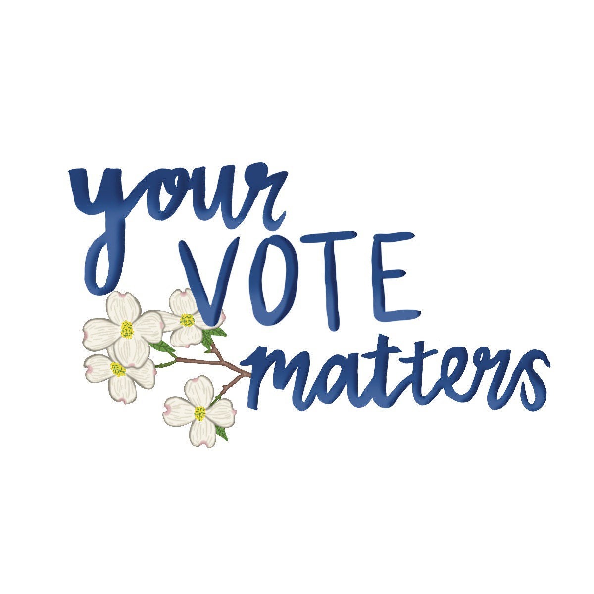 Your Vote Matters - Missouri